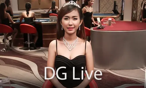 Wide Range of Games on slotvip App