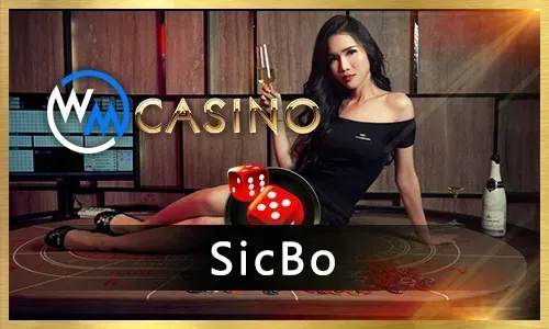 Responsible Gaming Support at Slotvip